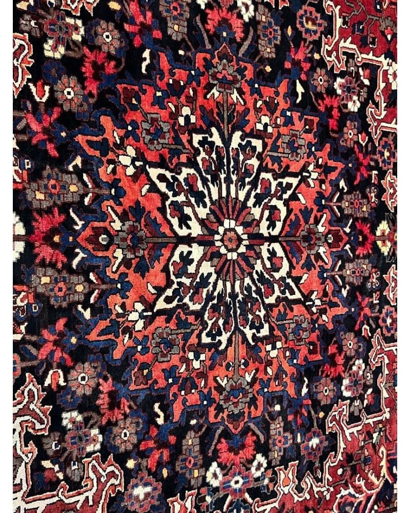 Bakhtiari Wool view 3