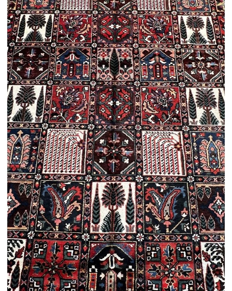 Bakhtiari Wool view 3