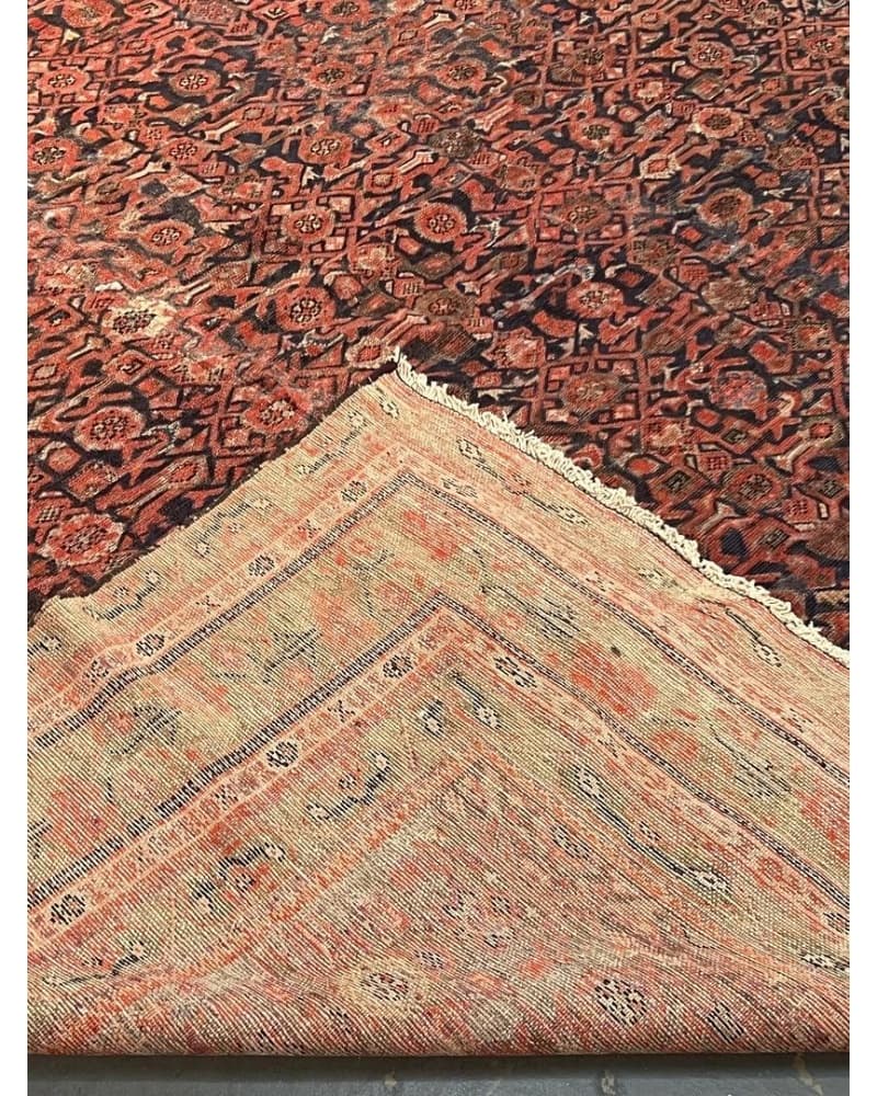 Old Malayer Wool view 4