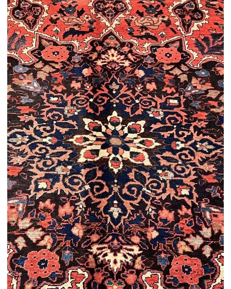 Bakhtiari Wool view 3