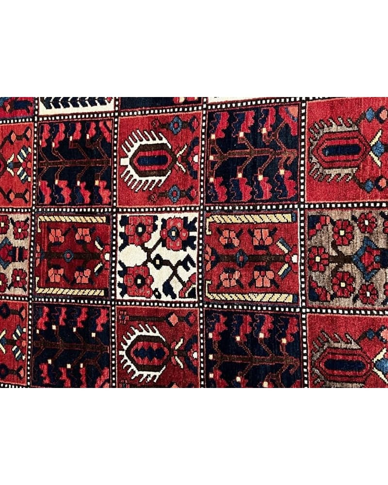 Bakhtiari Wool view 3