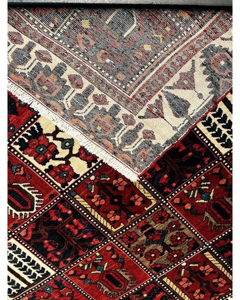 Bakhtiari Wool view 4