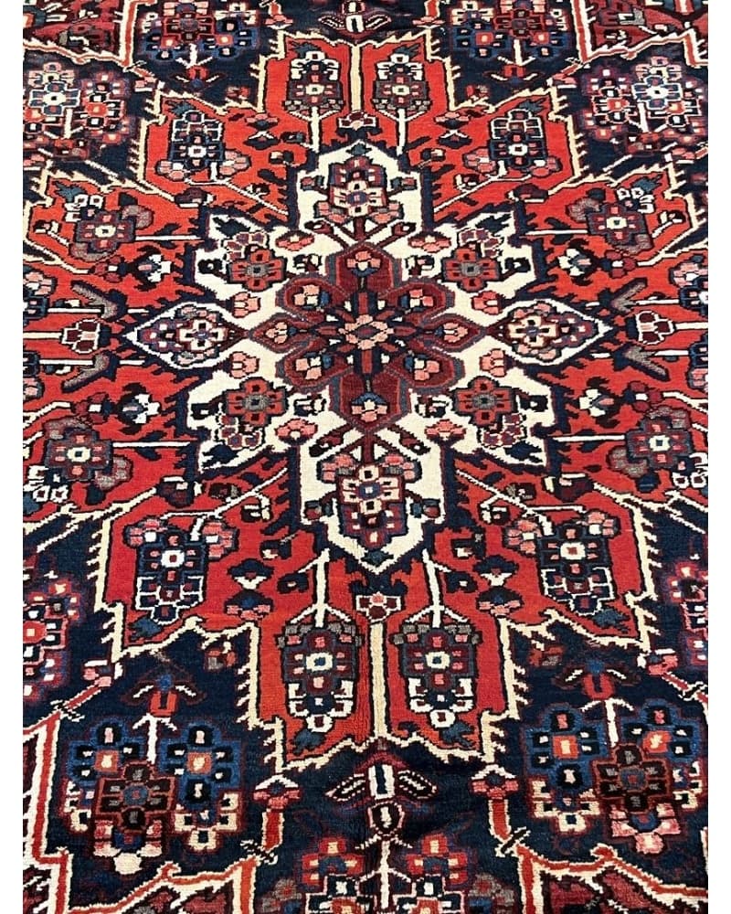 Bakhtiari Wool view 3