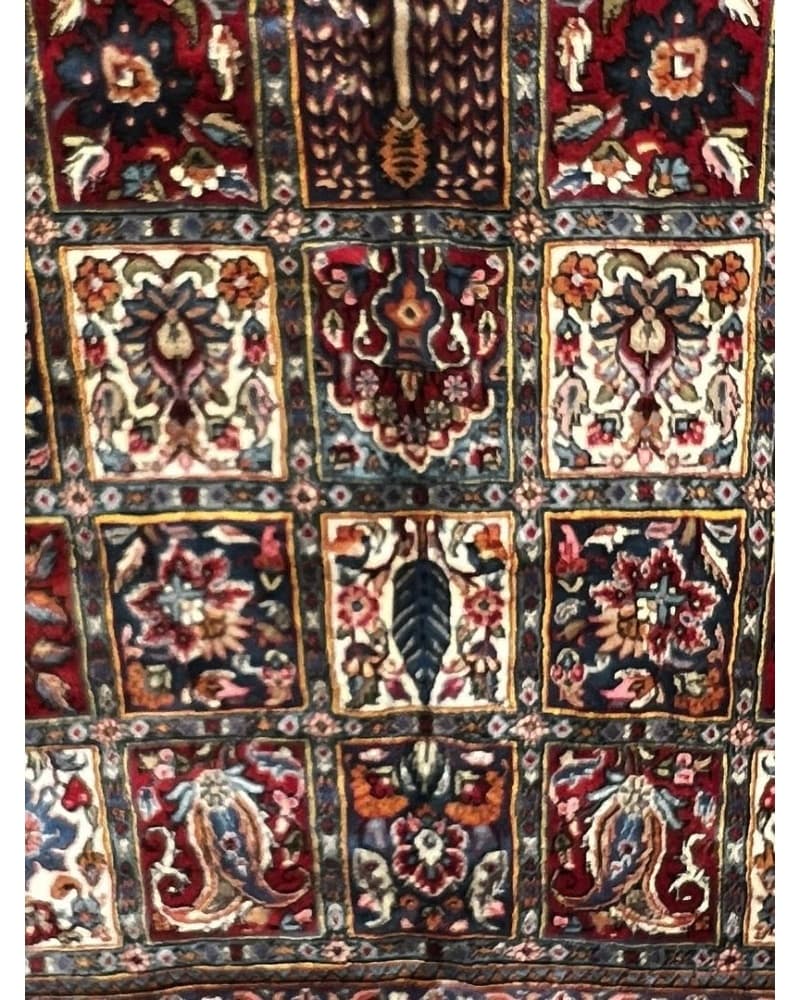 Bakhtiari Wool view 4