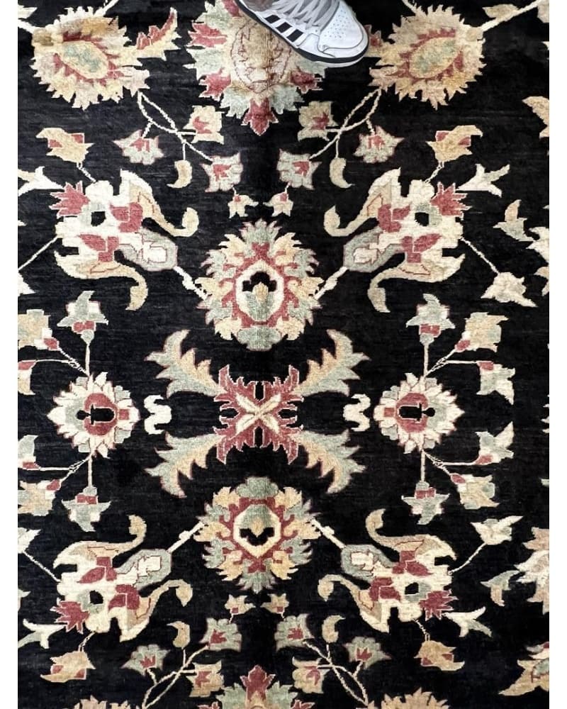 Peshawar Wool view 3